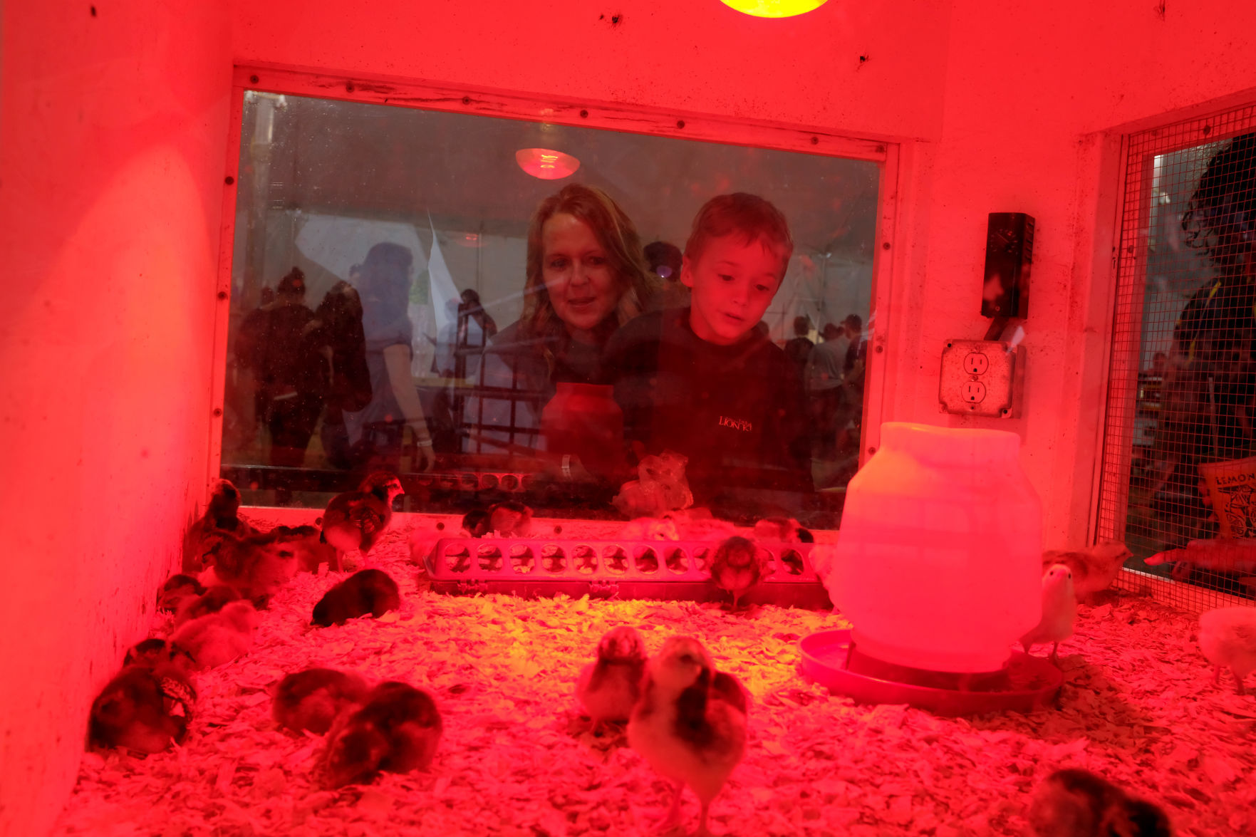 State Fair of Virginia